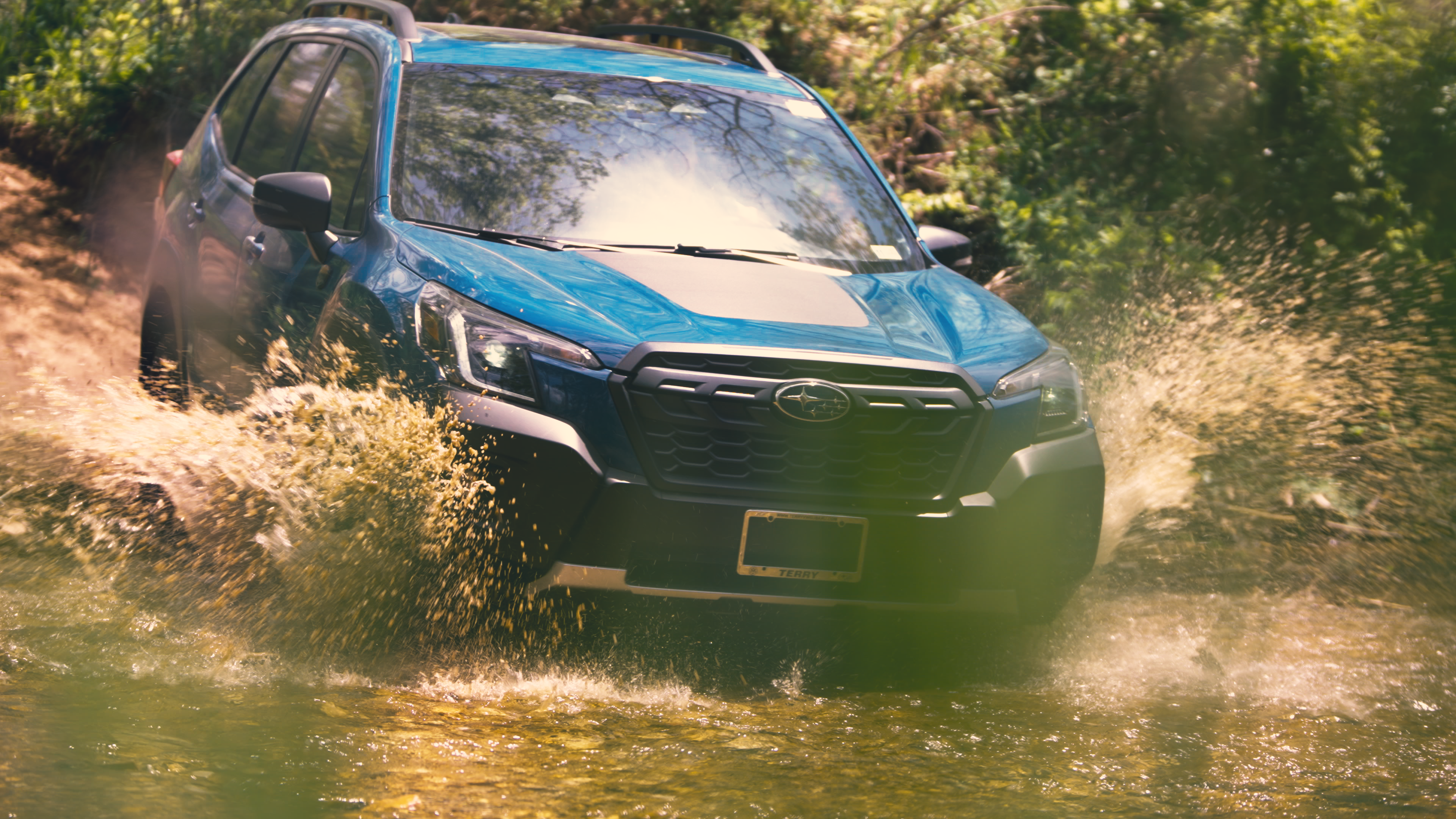 431_0279.00_01_03_01.Still001