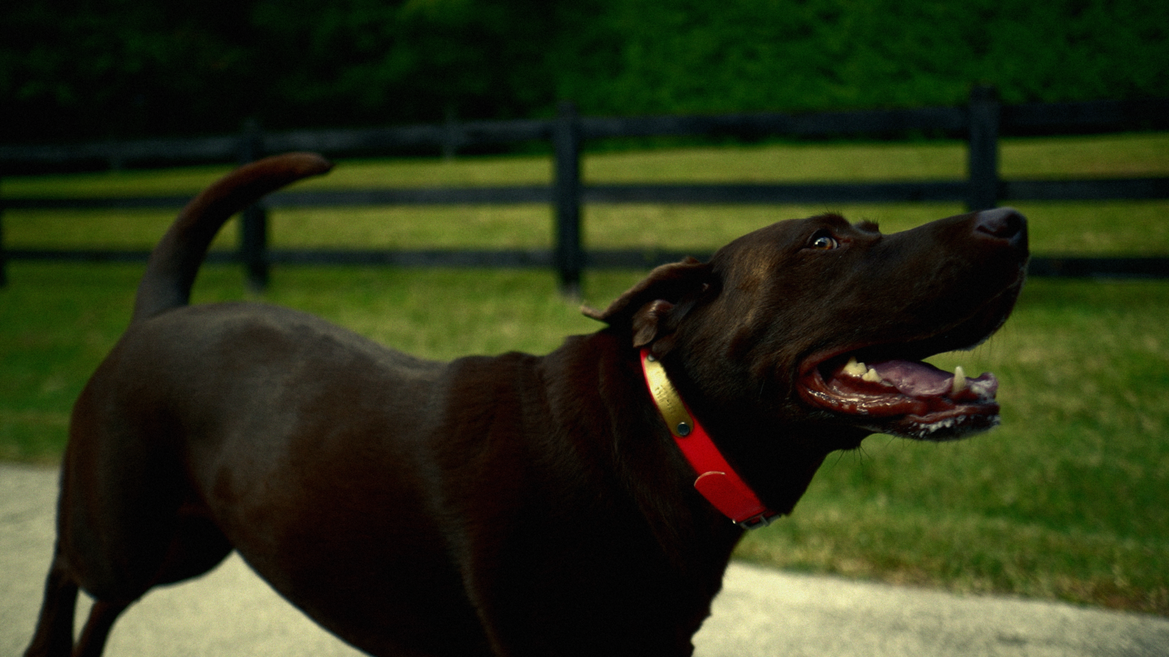 C2206.00_01_03_00.Still001