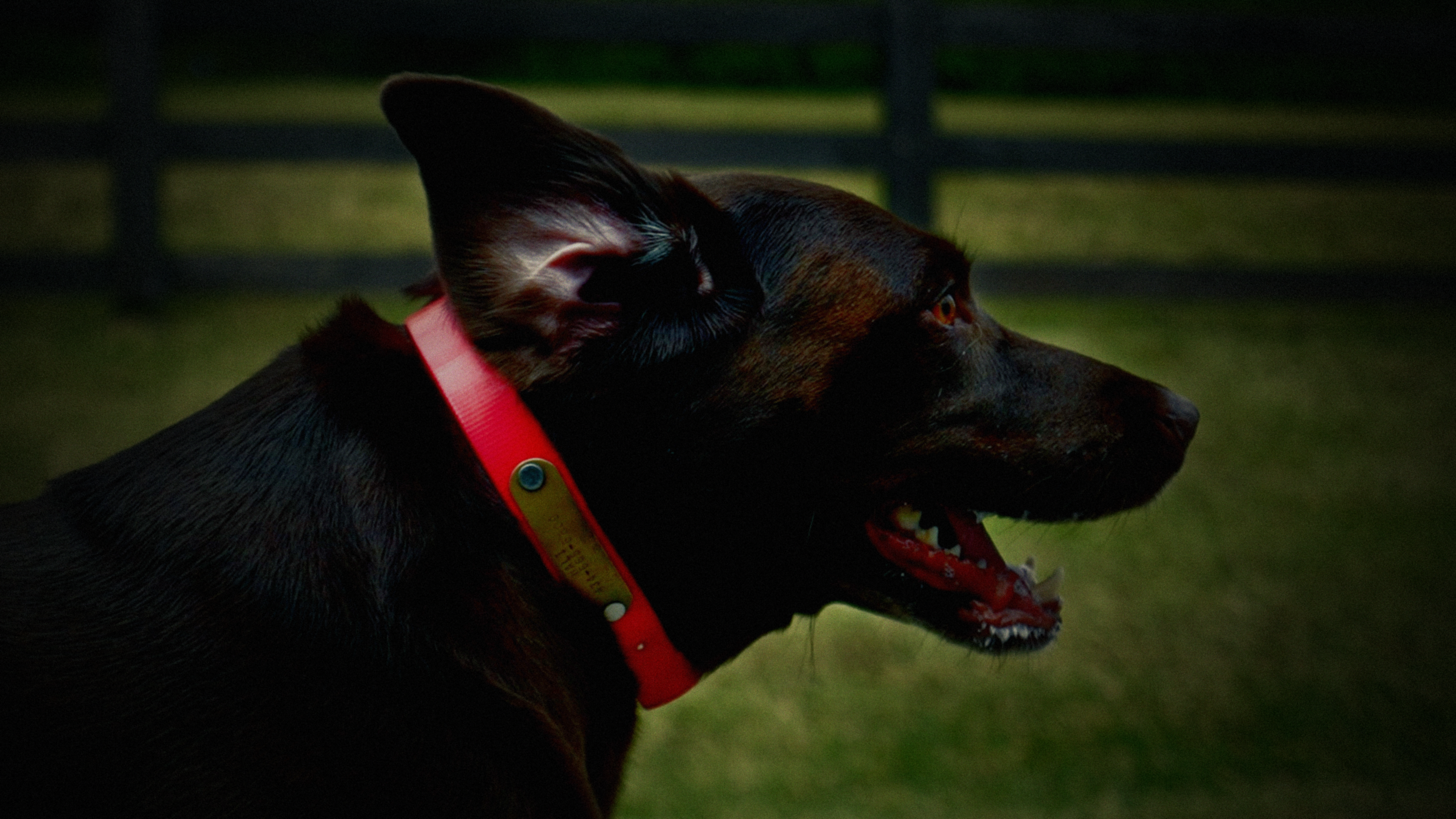 C2206.00_01_17_03.Still003